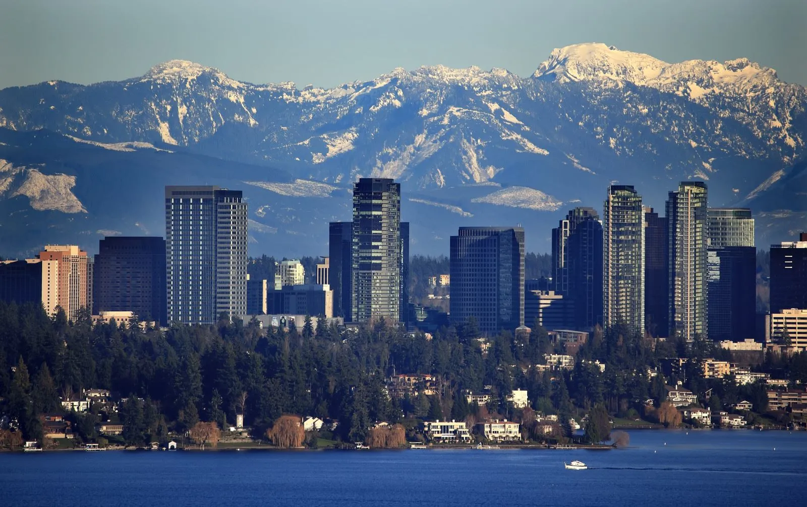 Making moves stress-free, simple, and fast for families and businesses across Bellevue, WA